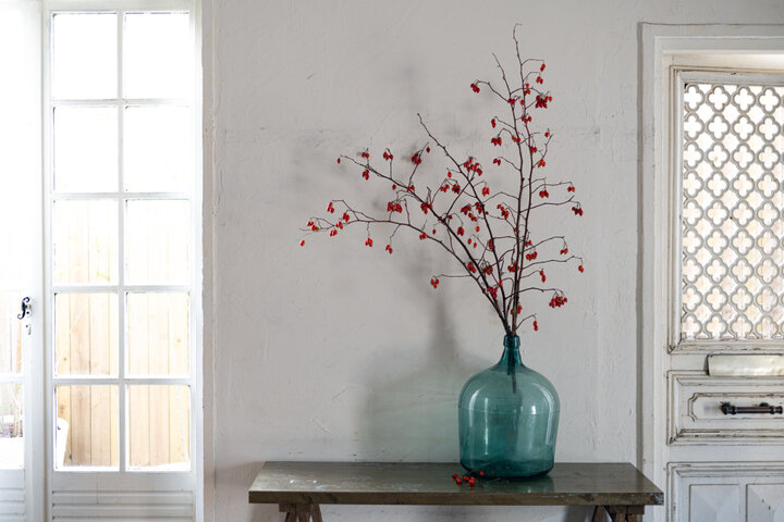 盆栽 マンリョウ 万両 ミニ盆栽 赤い実がなる 冬 正月 縁起盆栽 室内 鑑賞 卓上盆栽 鉢植え 贈り物 ギフト プレゼント 贈答品 誕生日 お祝い開店 オープン 移転 引越 新築 結婚 結婚記念日 退職 送別 昇進 内祝い ギフト盆栽妙 楽天市場店