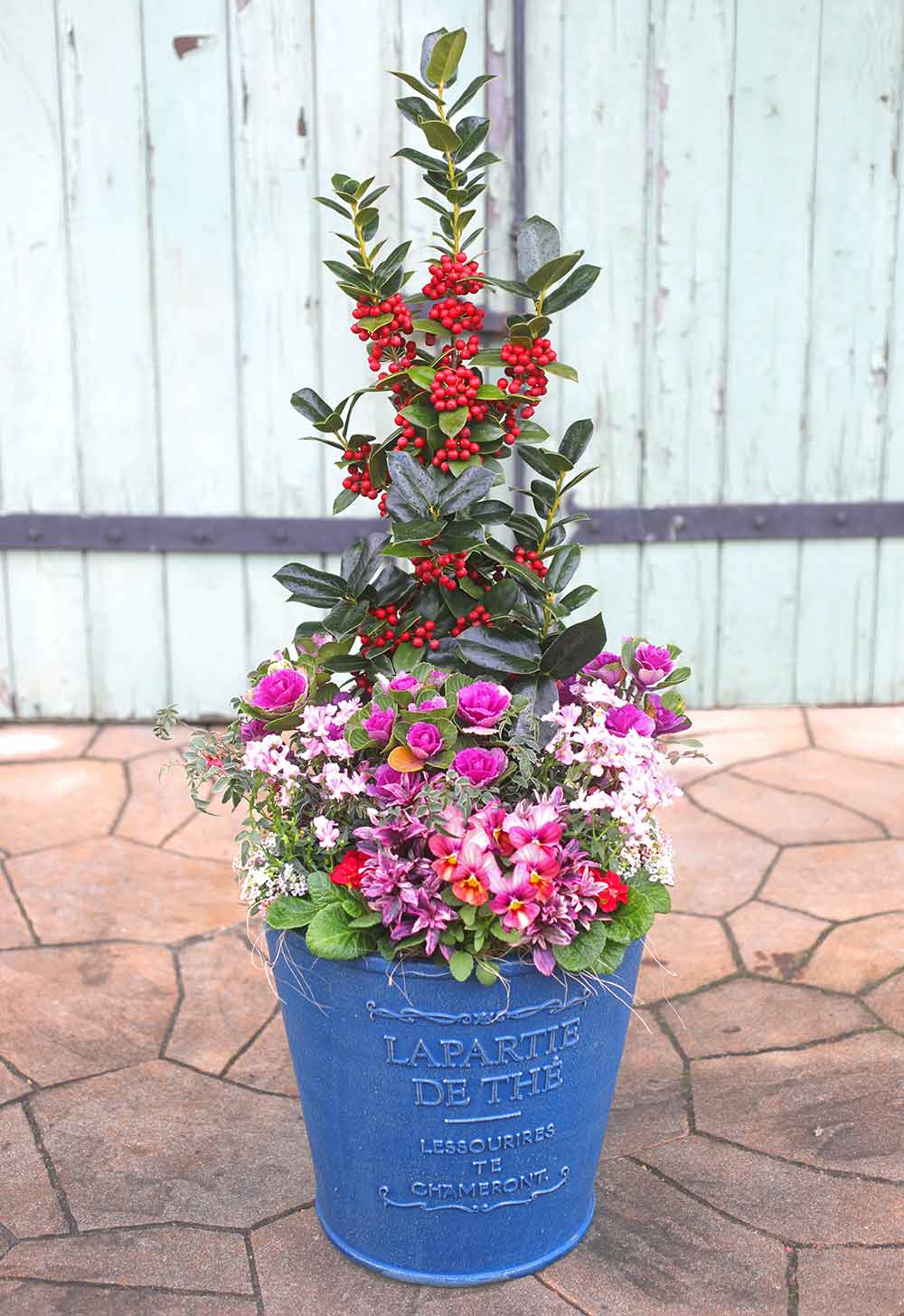 楽天市場 玄関 寄せ植え クリスマスの通販