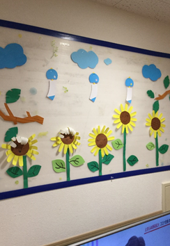 夏のかざりつけ