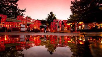 白山さまの夏詣新潟総鎮守 白山神社