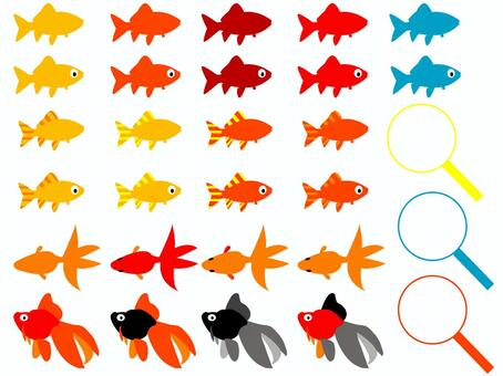 夏祭り ヨーヨー釣り イラスト」の検索結果 - Yahoo!検索 画像