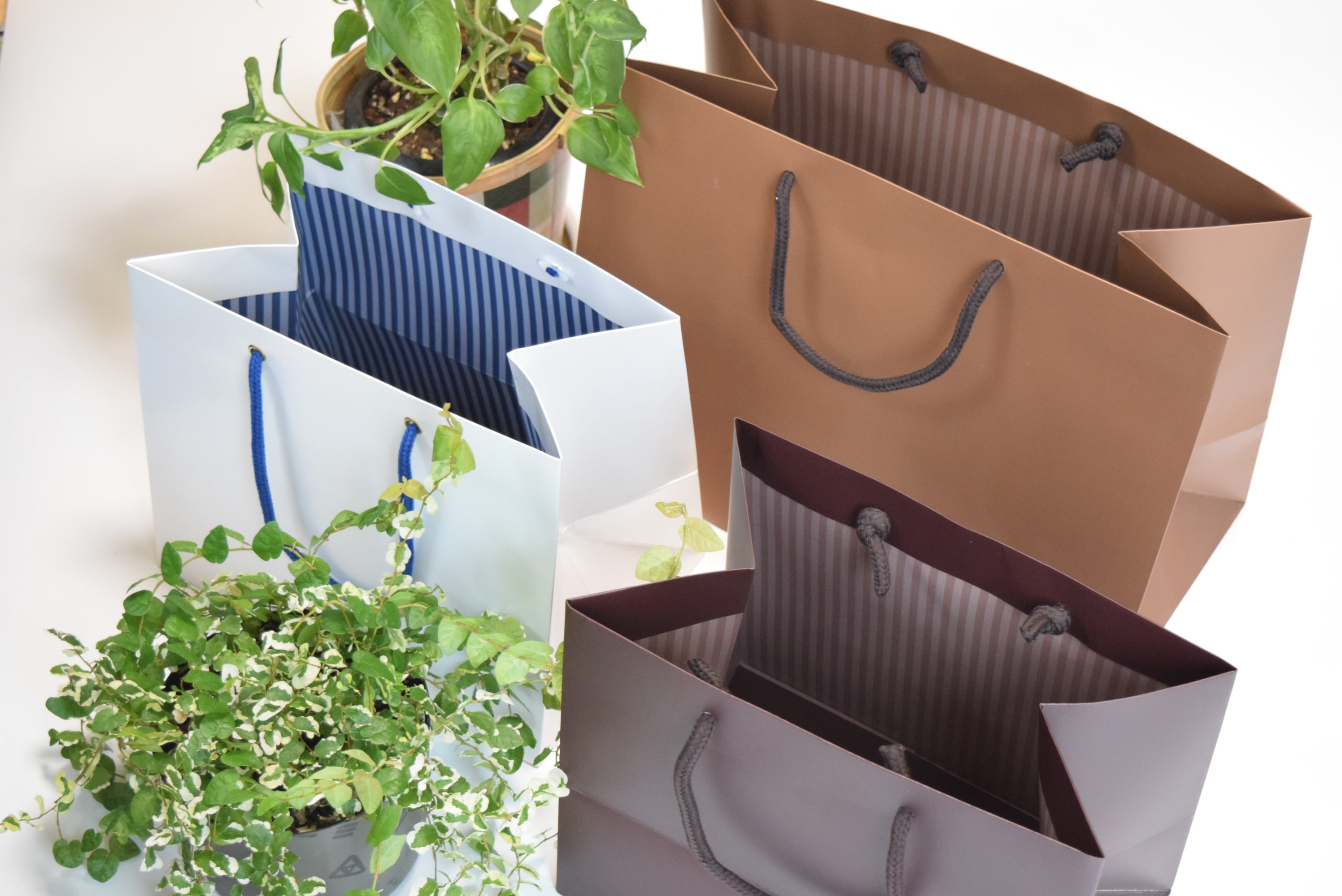 楽天市場28日限定☆ポイント5倍紙袋 カラーズ 10枚 新色 5色結婚式 引出物 引き出物 袋 引出物袋 業務用 おしゃれ ラッピング マチ広手提げ袋 手提袋 手提 手提げ ギフト プレゼント 無地 小さい 大量 クリスマス 福袋 高級 高見え くすみ ニュアンス : ほうそう