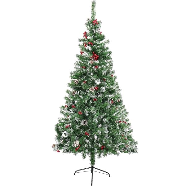 br>ゴールドクレスト ３号８本セット苗木 コニファー 成長速度の速い植物 寄せ植えや、お庭のシンボルツリーに！ ウィルマクリスマスツリー クレスト 垣根 生垣 ポイント消化 観葉植物 敬老の日 ポイント消化 観葉植物 コニファー鉢植えの通販花・植物