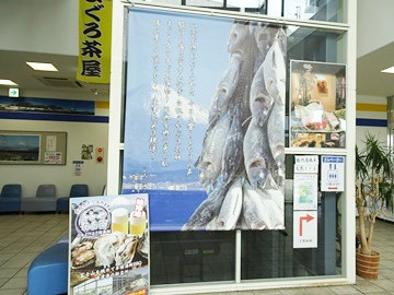 2025年最新 静岡・焼津エリアのおすすめ観光スポット13選！NEWT ニュート