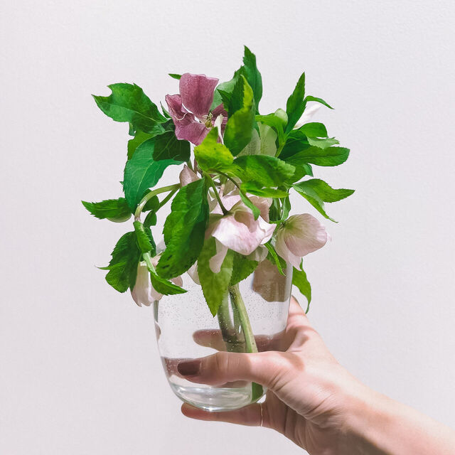 クリスマスローズのドライフラワーの花束 の写真素材88947262- PIXTA