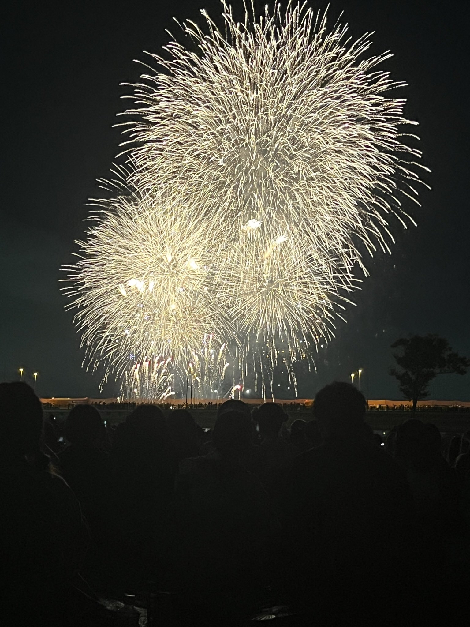 三陸花火大会 開催中止のお知らせ- CAMPFIREキャンプファイヤー
