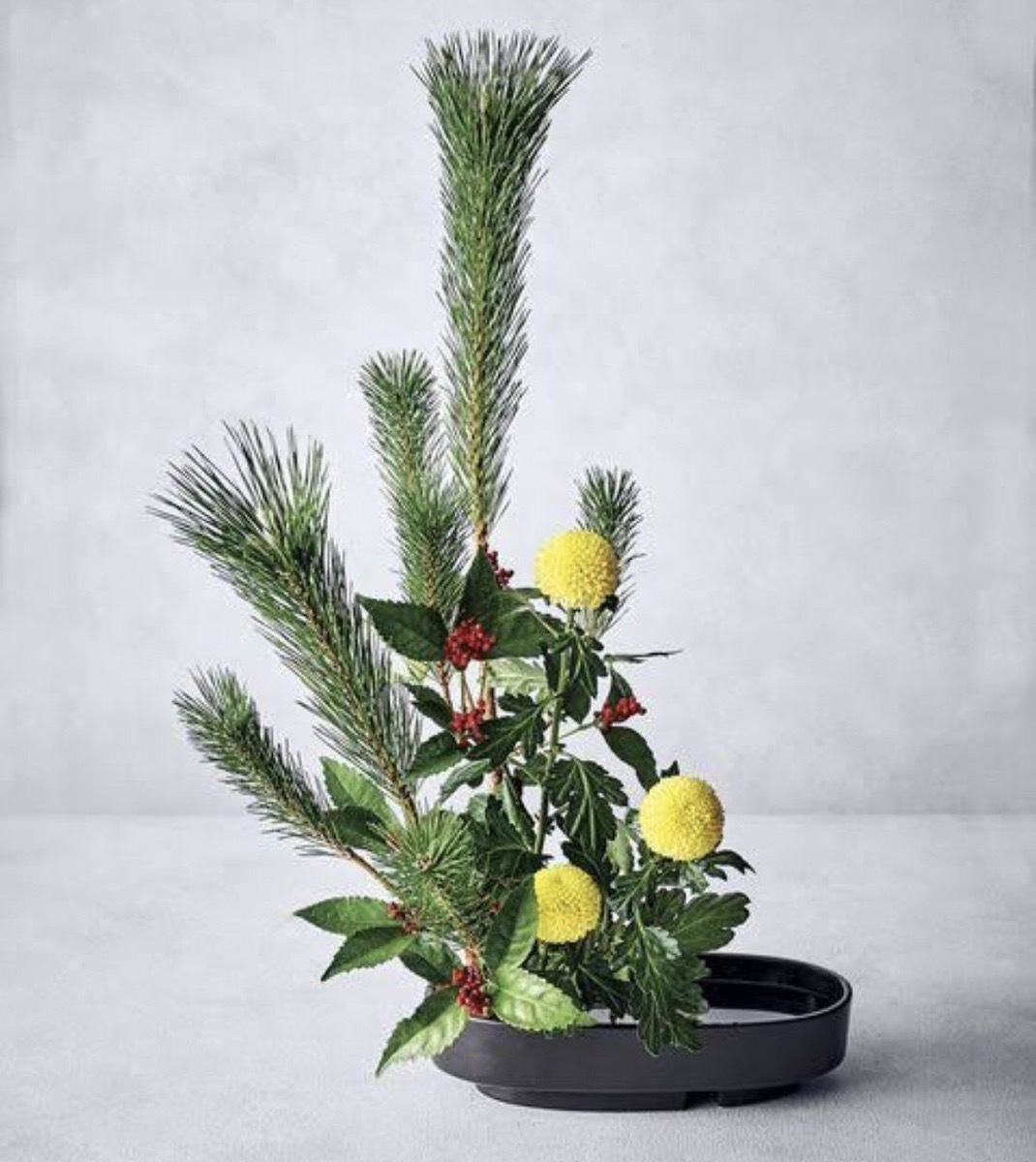 最新情報│桂古流いけばな：財団法人新藤花道学院