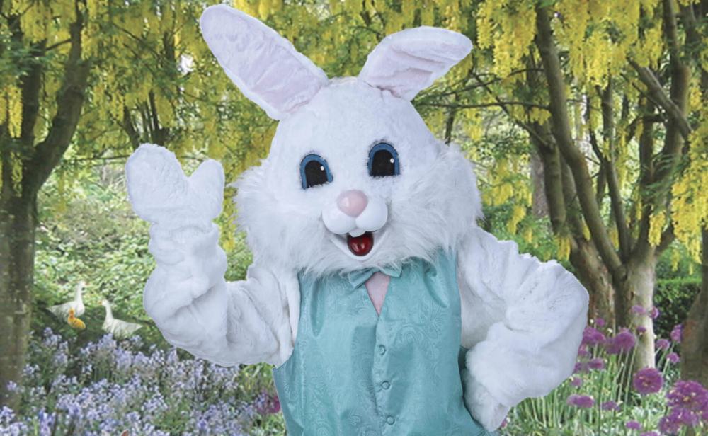 電飾ライト イースターバニー ヴィンテージ – L.A.DEPO エルエーデポ