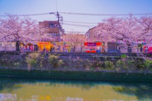 大岡川桜まつり2025屋台、駐車場＆混雑情報