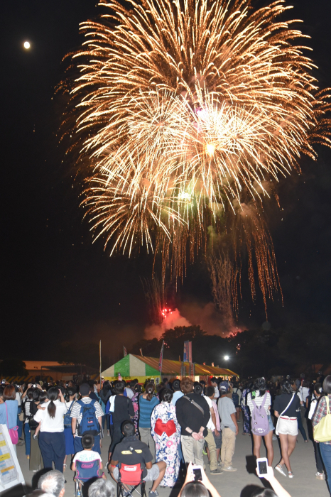 カナダ・トロント シングルマザー移住日記Vol.3～トロントの年末とお正月～海外投資家ビザ・海外移住サポートのアエルワールド