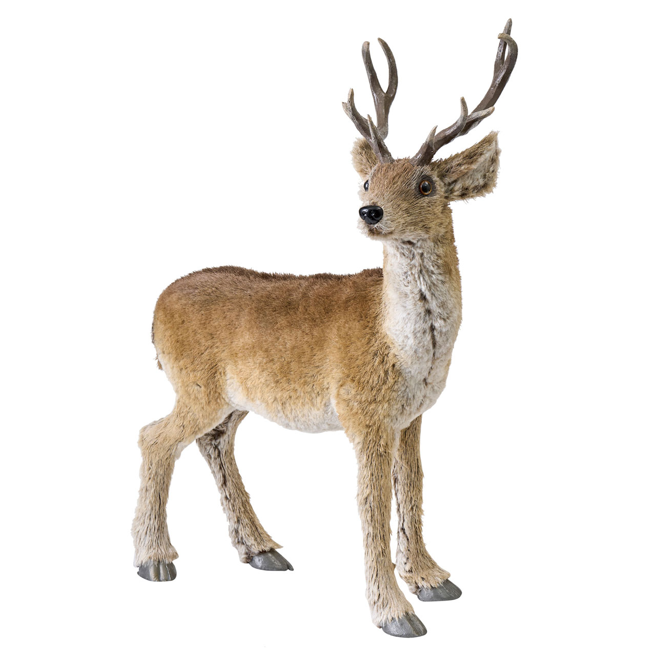 何故トナカイ？ サンタクロースはいる？ クリスマスにまつわる面白ストーリー3選DOMO＋ ドーモプラス