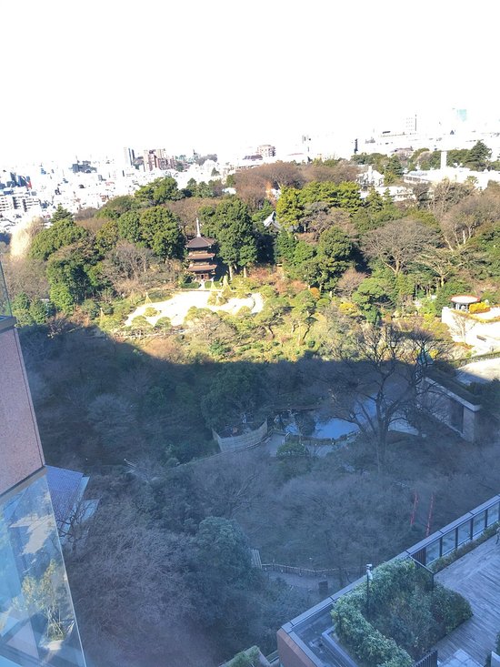 ホテル椿山荘東京ハイネの森 - 楽天ブログ