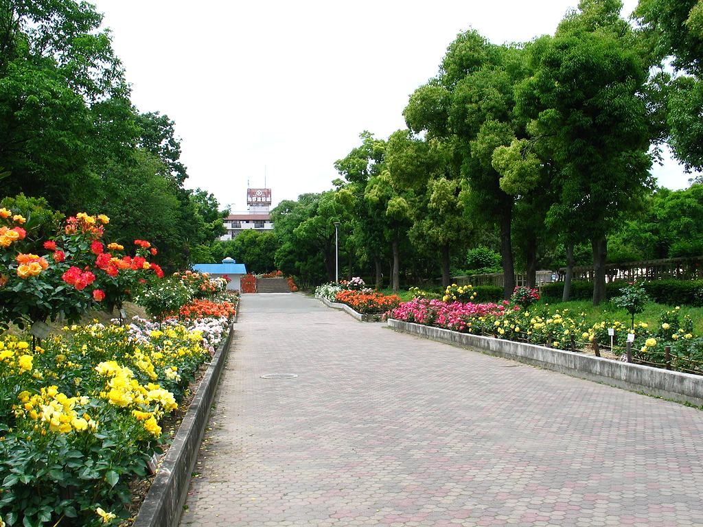 大江戸神輿まつり IN 木場公園：東京・中部エリアおでかけガイド：JRおでかけネット