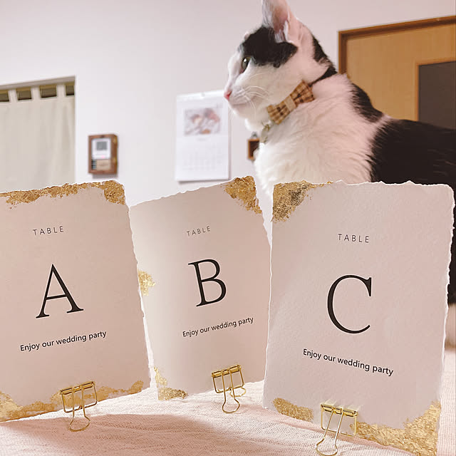 エンボスペーパー テーブルナンバー 作り方TikTok