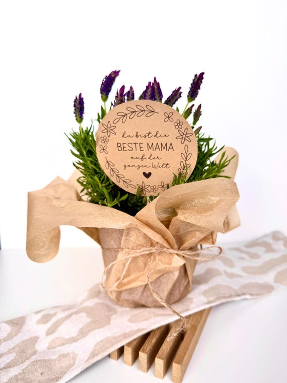 母の日におすすめ！感謝を伝えるギフトアイデアをご紹介ライフスタイルマーケットのニュースまいぷれ 佐世保