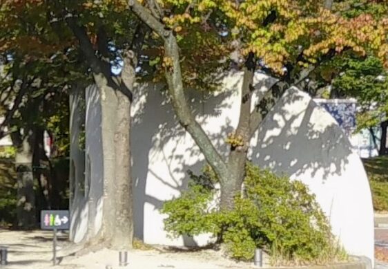 福島県の「屋台」が楽しめる桜名所 お花見2025 - ウォーカープラス