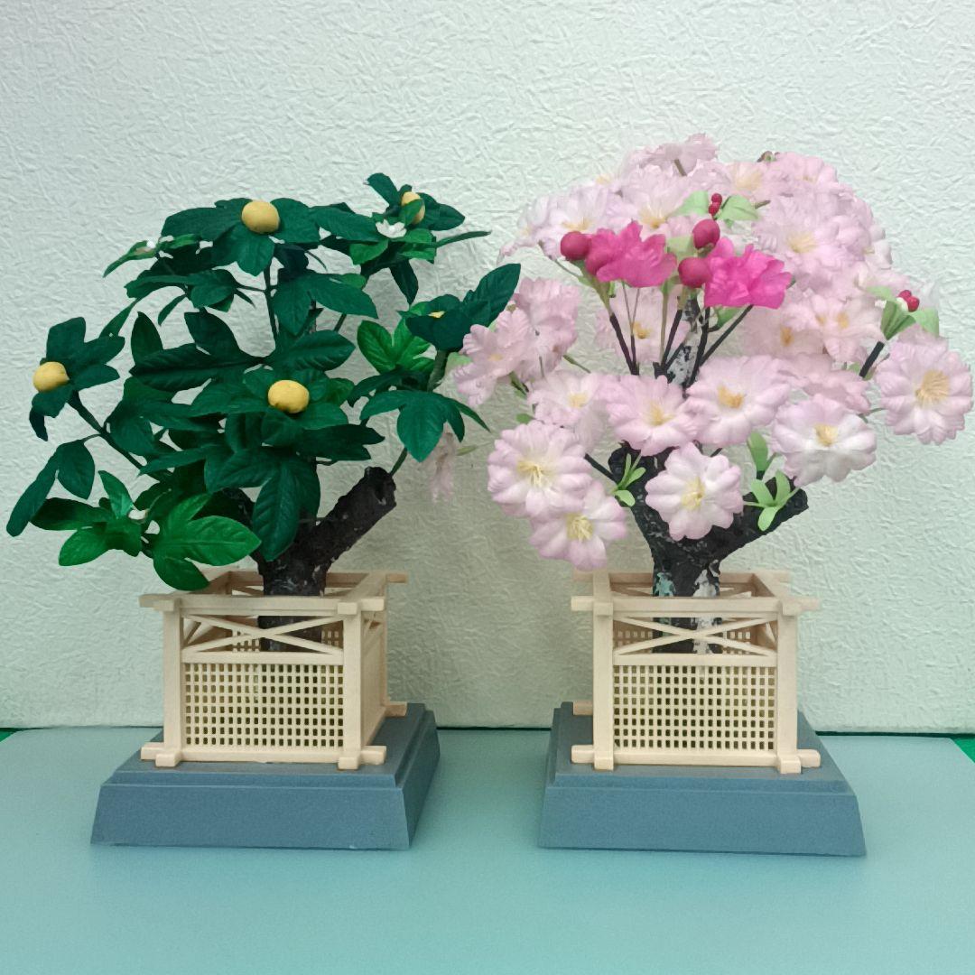 蜂の家 hachinoya蜂の家 上生菓子 ひなまつり ・ 左：橘 きんとん製中左：お内裏様 煉切製中右：お雛様 煉切製右：桜 きんとん製・Instagram