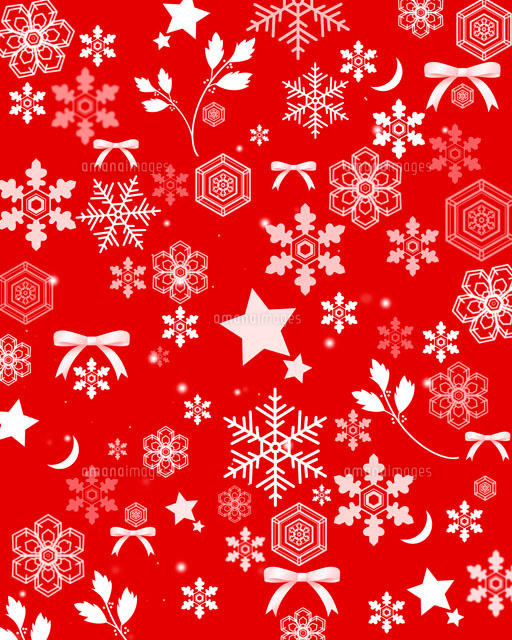 名前入りサンタクリスマスストッキング 7パターン カスタムクリスマスストッキング バルク クリスマス装飾 休日 家族用