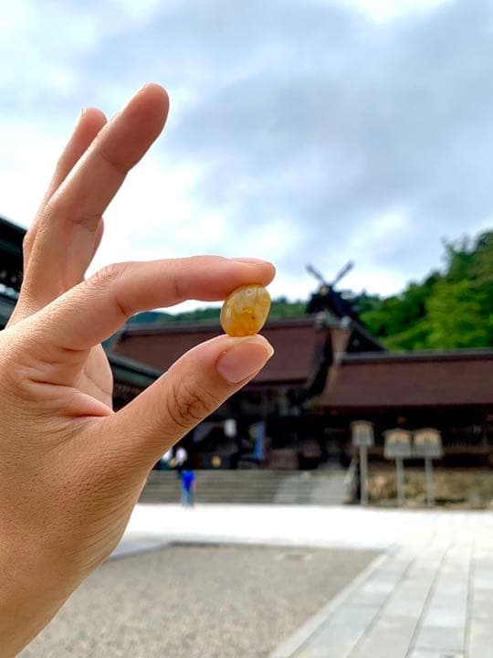 ２０１６年の初旅は、急に決めて行った長崎１泊２日の旅 長崎県のパワースポット神社である、『諏訪神社』初詣参拝と、有名店の一つである『三八ラーメン』での皿うどんの夕食編 』長崎市 長崎県 の旅行記・ブログby masapiさん フォートラベル