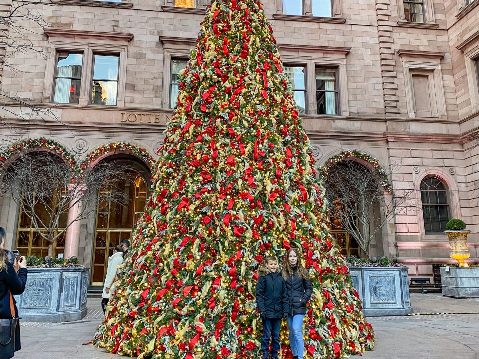 ニューヨークのクリスマスツリーおすすめ14選 - Petite New York