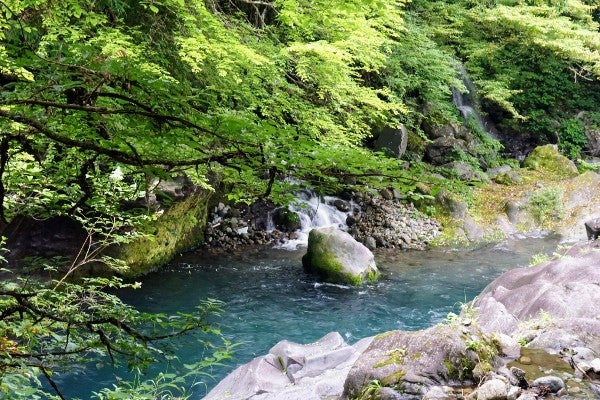 日光の紅葉 並び地蔵から大日橋- 季節の花歩き