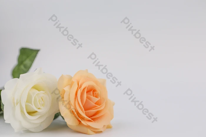 白バラと黄色ガーベラのウェディングブーケ・ホワイトドレスにも