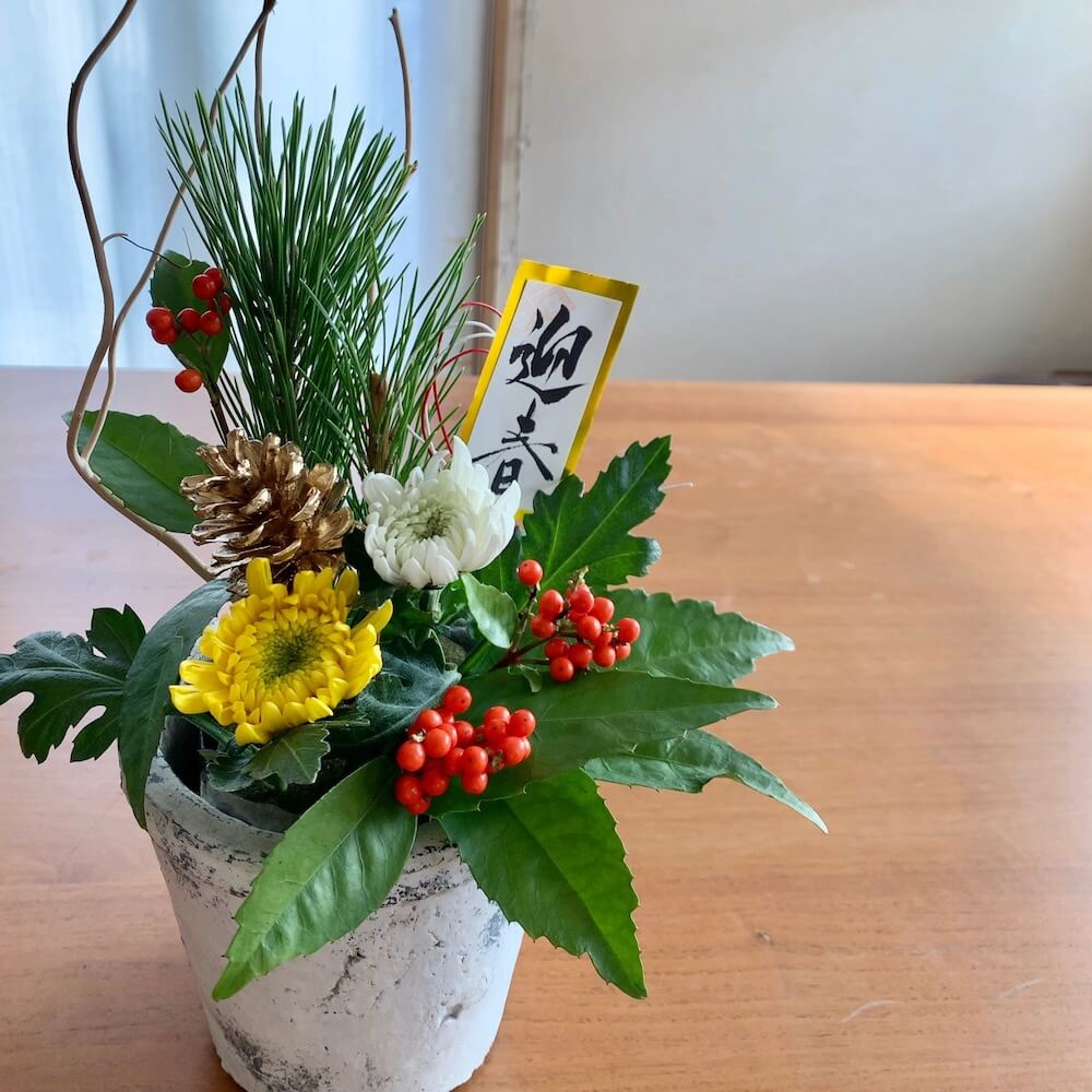 正月や冬の庭を彩る花、葉牡丹 ハボタン の特徴と美しさガーデンDIY図鑑