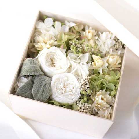 こんばんは！夏未です🙋🏼‍♀️, 今日は勤労感謝の日！, 去年は何も出来なかったので, 今年は感謝の気持ちを伝えたくて,お花をプレゼントしました！, リーガースベゴニアという花で, 花言葉は「幸福な日々」, 買った後に調べて分かったんですけど,とても素敵なお花を買いました✨, 皆さん今日もお仕事お疲れ様です！, たまには息抜きしてストレス溜め込まずに, 楽しく過ごしましょ〜✨,中西家の日常