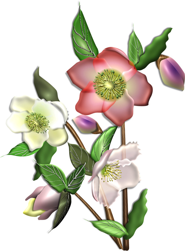 クリスマスローズ花や花束の宅配フラワーギフト通販なら花キューピット