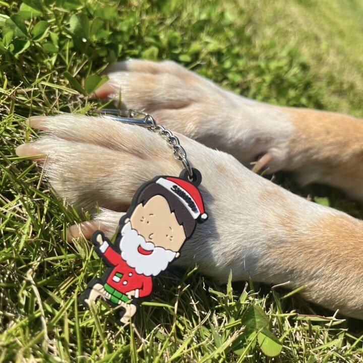 坂上家の25兄弟さん、うんちは健康のバロメーター 今日もしっかりチェック！「犬や猫ともっと幸せに」をコンセプトにしたWEBメディア「sippo」