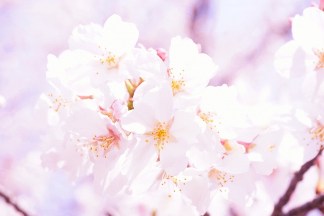 2025年の祝日は？知ってそうで知らない「国民の祝日」とその趣旨や経緯政府広報オンライン