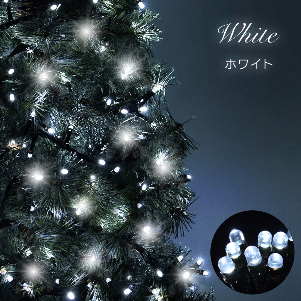 2024-2025 東京都内の人気イルミネーション24選。観光やクリスマスデートにおすすめ