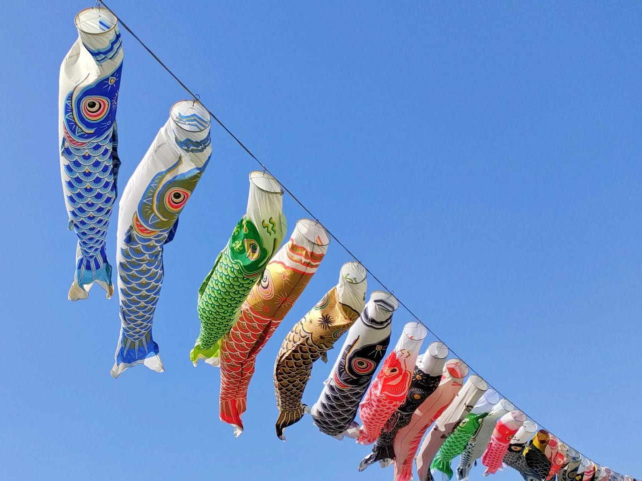 青空に舞う姿は圧巻の絶景！日本全国の鯉のぼりまつり7選 - Tripa トリパ 旅のプロがお届けする旅行に役立つ情報