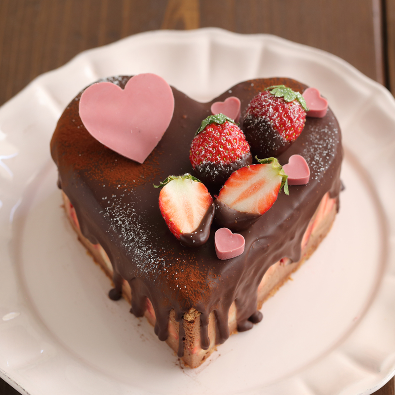 デコレーションチョコペンプレートAILE d'ANGE Surprise STORE