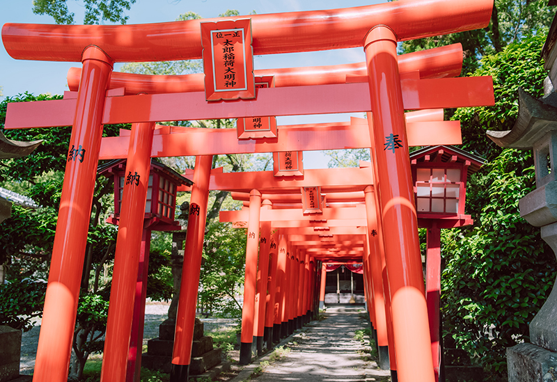 松本のパワースポット「四柱神社」の御朱印四季うらうら