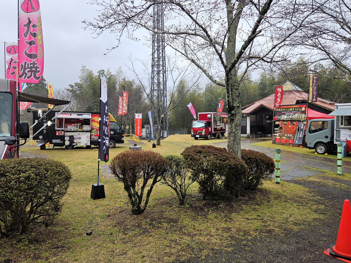 忠元公園の桜 2025 ー 今シーズン終了 ー伊佐市鹿児島県伊佐市