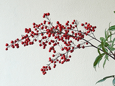 南天の実はお正月の縁起物ドライフラワーにもおすすめ胡蝶蘭・スタンド花のプレミアガーデン