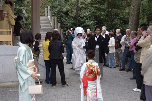 令和6年 成人祭のご案内お知らせ 活動 鶴岡八幡宮 TSURUGAOKAHACHIMANGU