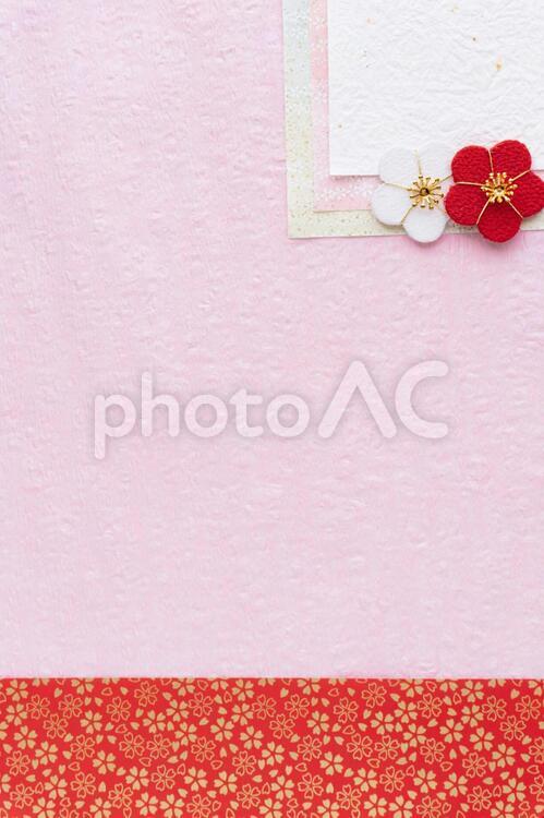 桃の花のつるし飾りの枠 縦 の無料 フリー イラストかわいい手描きの無料素材「てがきっず」保育園・小学校・介護施設にぴったりのフリー素材イラスト