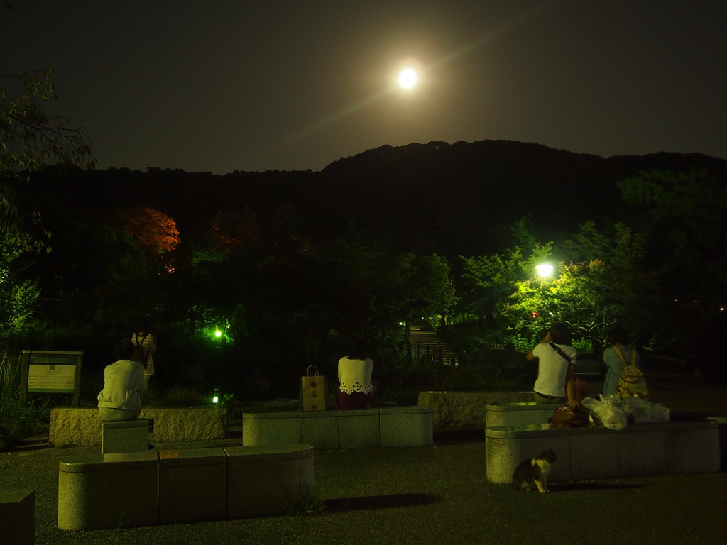 松尾大社 観月祭♪中秋の名月に開催 2025年10月6日 京都西京とっておきの京都プロジェクト