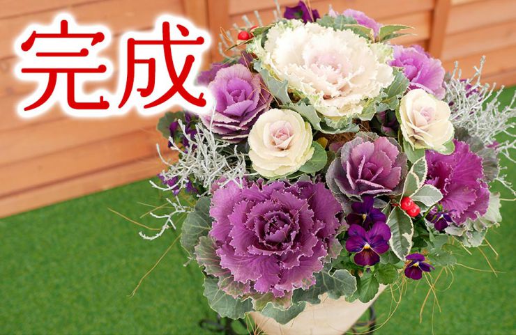 お正月は寄せ植えで新年を祝おう！初心者でも簡単に作る方法熊本のエクステリア・外構工事・ガーデニング・造園・庭granks