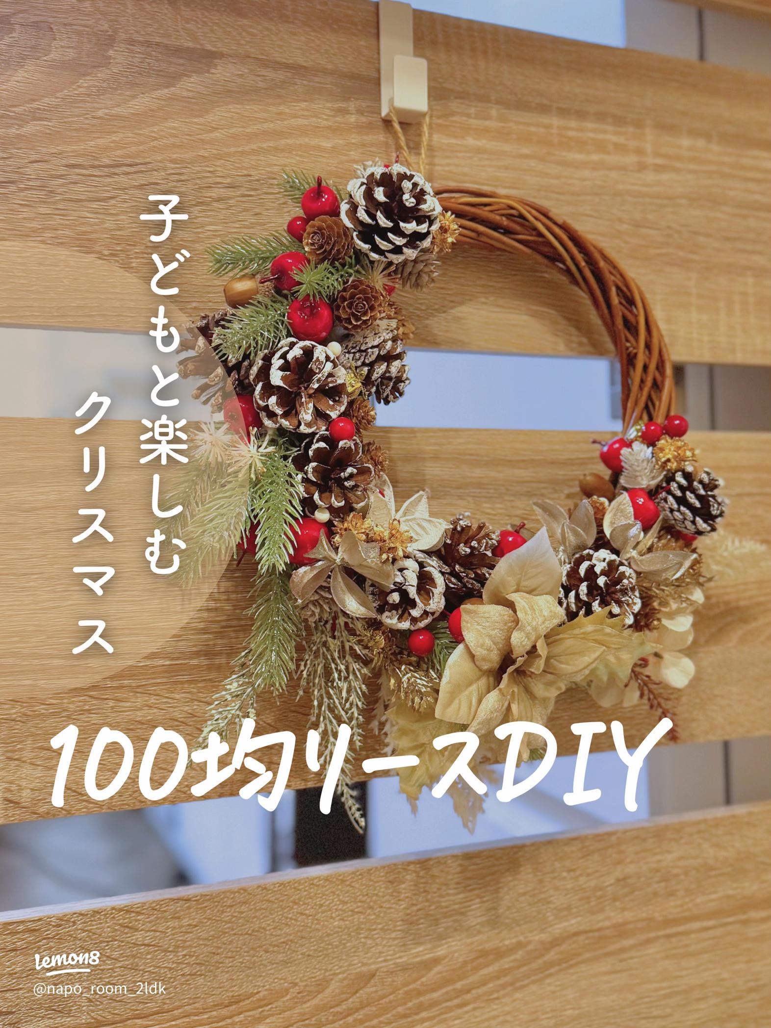 クリスマス リース☆即日出荷☆ 送料無料☆リース 18cm 毛糸 ワタの実在庫限り壁掛け ワタ 綿 木の実 飾り :造花ドライフラワー専門問屋花びし - 通販 - Yahoo!ショッピング