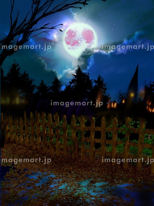 フラワーパーク江南のハロウィン風景』 : 自然風の自然風だより