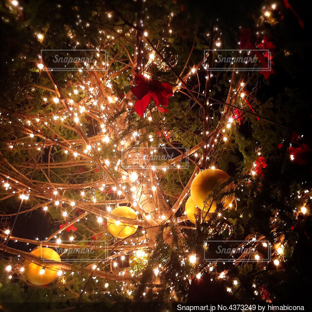 ツリーオブジェ 木製 ２個セット 全６種類 セット販売 木 クリスマス ツリー 飾り オブジェ 置物 おしゃれ 北欧インテリア 雑貨 : 家具・木製品はーとぼっくす工房 - 通販 - Yahoo!ショッピング