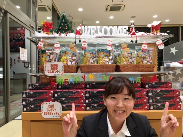 クリスマス装飾・ディスプレイのイメージサンプル 水野染工場 雑貨屋