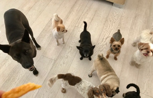 サンタからパパ・ママ・そして皆さまへのメッセージ