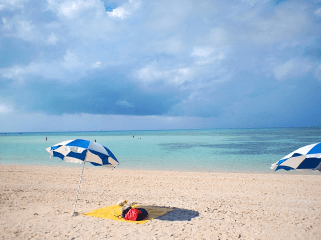 夏の風物詩といえば「スイカ」か「花火」か？Yoshi@Bold English英語講師