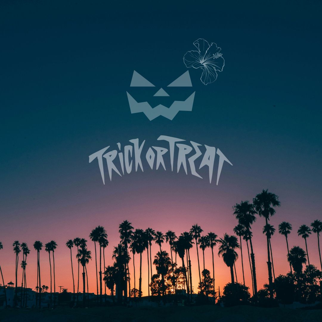 ハロウィンに黒猫が登場する意味とは？由来や仮装する理由までねこちゃんホンポ