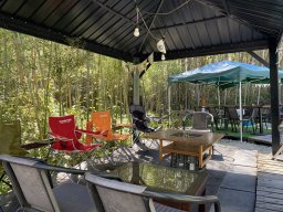 大池公園桜まつり夜桜ライトアップ株式会社 まちづくり東海