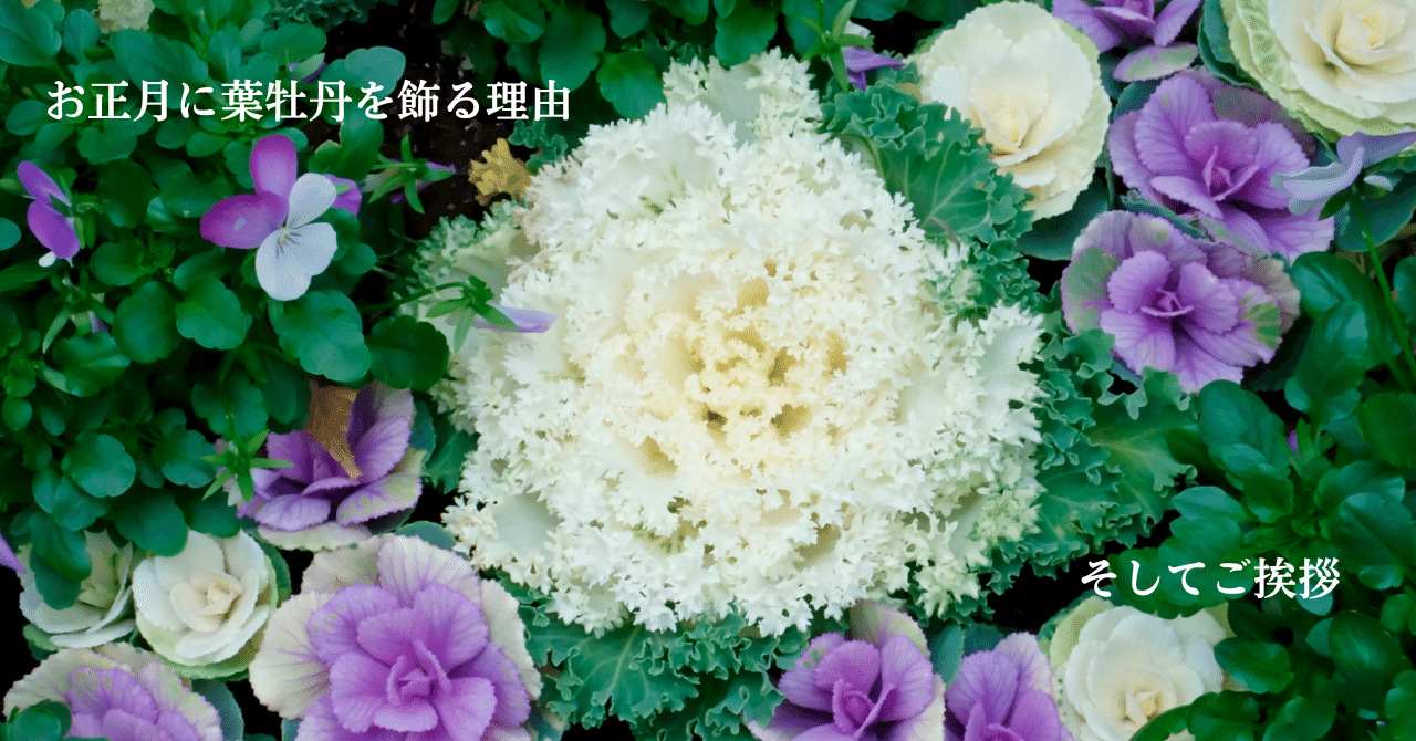 葉牡丹 ハボタン の花言葉は縁起のいいものばかり！ その特徴や種類を紹介Oggi.jp